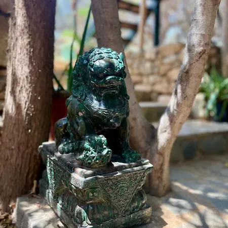 山林小屋 The Secret Nest 赫索尼索斯