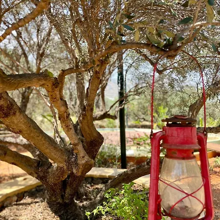 山林小屋 The Secret Nest 赫索尼索斯