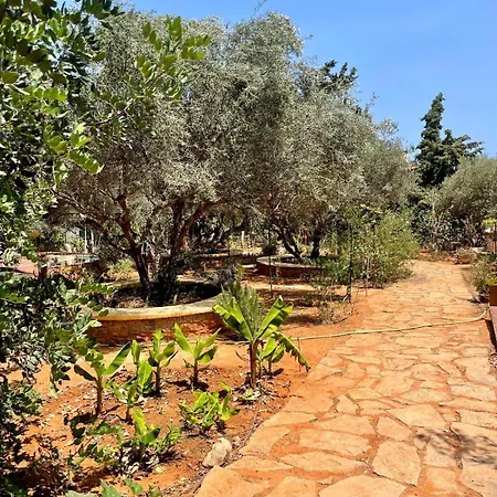 山林小屋 The Secret Nest *