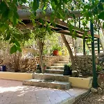 The Secret Nest
