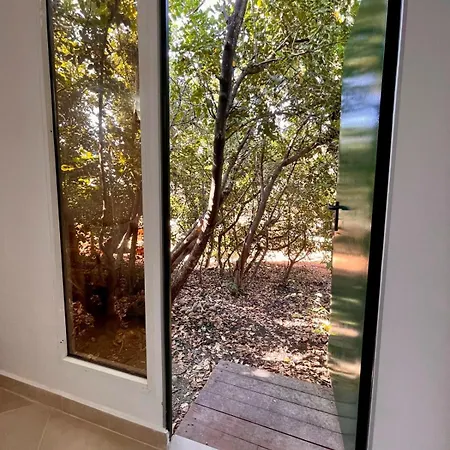 The Secret Nest Lodge