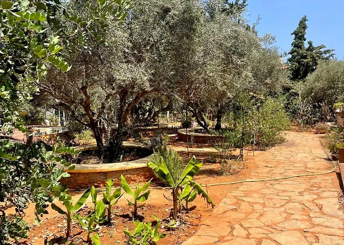 Деревянный коттедж The Secret Nest *