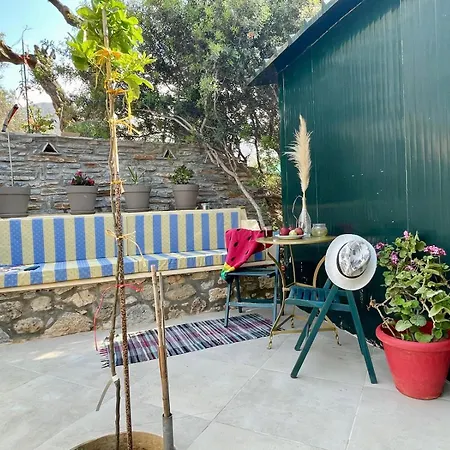 The Secret Nest אכסניה *