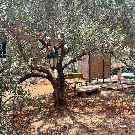 Lodge The Secret Nest