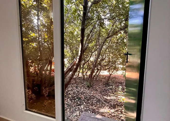 The Secret Nest Cabană