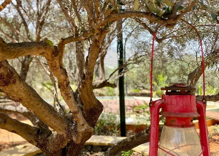 Cabană The Secret Nest Hersonissos (Crete)